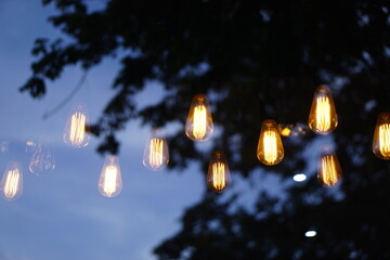 Tree silhouette reflection with light bulb in mirror.