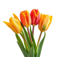 Close-up of vibrant tulips in shades of orange and yellow