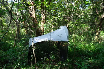 Malaise Trap in Thoyondou National Botanical Garden