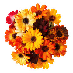 Vibrant flower bouquet, close-up