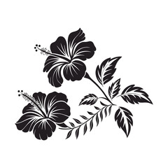 hibiscus icon silhouette vactor illustration artwork