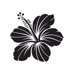 hibiscus icon silhouette vactor illustration artwork
