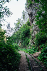 An old abandoned railway in a green forest