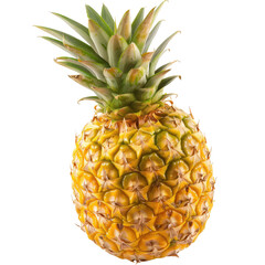 Ripe pineapple, bright yellow skin, sharp green leaves