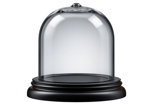 ドーム型のディスプレイケース。もしくはスノーグローブ