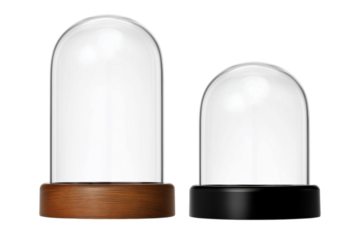 ドーム型のディスプレイケース。もしくはスノーグローブ