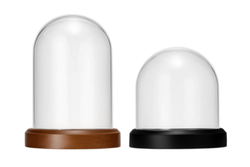 ドーム型のディスプレイケース。もしくはスノーグローブ