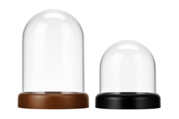 ドーム型のディスプレイケース。もしくはスノーグローブ