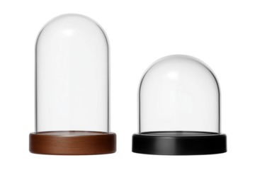 ドーム型のディスプレイケース。もしくはスノーグローブ