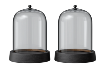 ドーム型のディスプレイケース。もしくはスノーグローブ