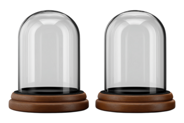 ドーム型のディスプレイケース。もしくはスノーグローブ