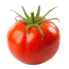 Single, ripe tomato with water droplets (4)