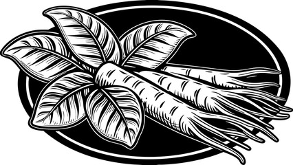Illustration of ginseng roots and leaves arranged on a black oval background with white outline