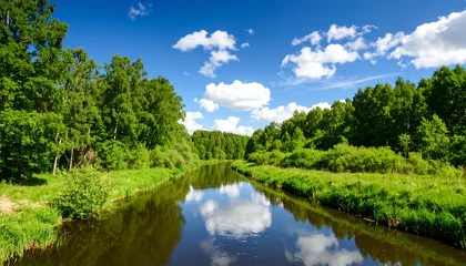 Wandcirkels Bosrivier Serene river flowing through lush green forest under a vibrant blue sky  © Makin