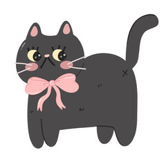 black cat coquette