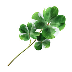 Natural clover flag waving gently, isolated on transparent background