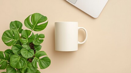 Top View of Minimal Workspace with Coffee Mug, Laptop, and Green Potted Plant

