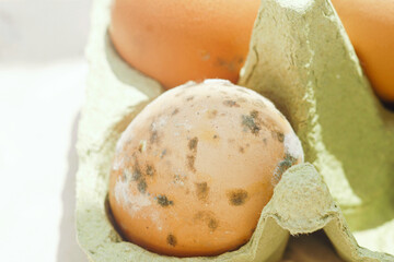 Close-up of moldy brown eggs with bacterial spots, fungal rot and contamination, placed in eco cardboard tray. Symbol of foodborne illness and microbiological danger. Expired and unfit for eating