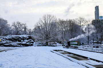 Winter view of Central Park, New York covered in snow during early morning