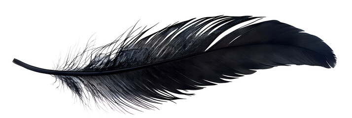 Detailed closeup of a single black feather o n isolated black b a c k g r o u n d showing texture