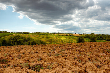 Summer countryside landscape with clouds in the sky
