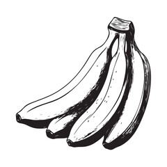 vector silhouette illustration of a banana