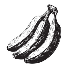 vector silhouette illustration of a banana