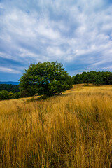 Monts d'Ard&egrave;che
