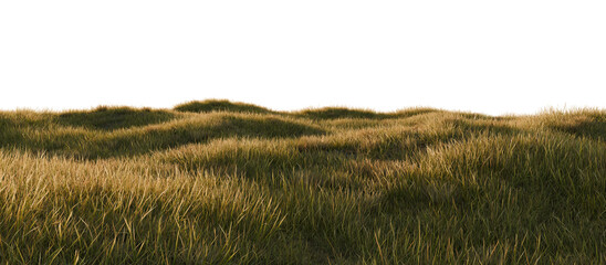 Realistic Sunset Grass Field with Rolling Hills. 3D rendering.