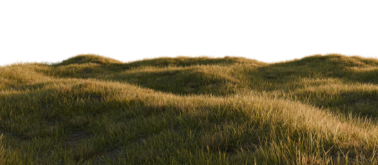 Realistic Sunset Grass Field with Rolling Hills. 3D rendering.