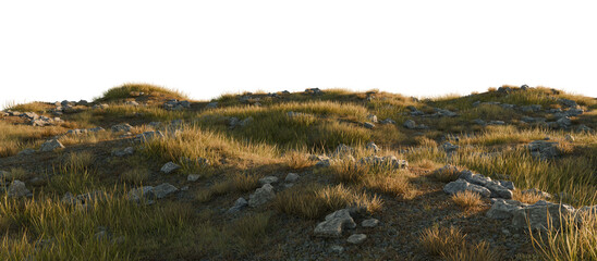 Grassy Hills with Scattered Rocks Under a Clear Sky. 3D rendering.	