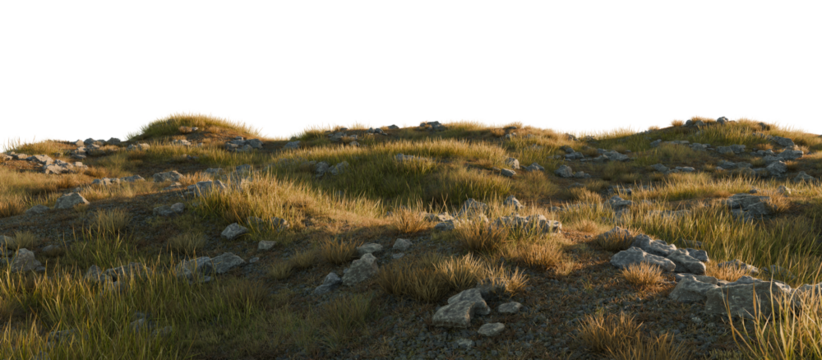 Grassy Hills with Scattered Rocks Under a Clear Sky. 3D rendering.	