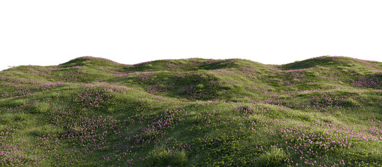 Hills with grass Under Clear Sky. 3D rendering.	
