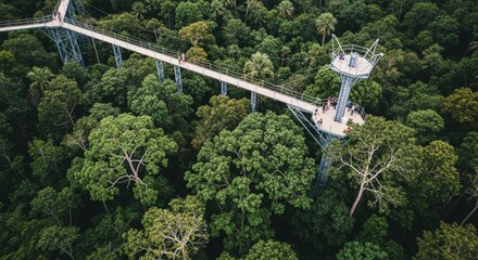 Aerial view of a treetop walkway in a dense tropical forest with people exploring the canopy