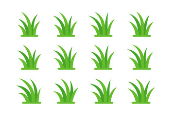 Collection of vibrant green grass blades on white background for design