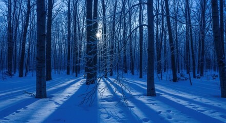 Serene winter forest at dawn with blue hues and shadows cast by trees in a tranquil snowy landscape