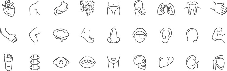 Human Body and Medical Anatomy Vector Icon Set – Health, Organs, Muscles, Brain, Heart, Bones, Body Parts, Healthcare, Anatomy, Physiology, Biology, Medical Icon, Skin, Fitness, Medical Tools, Eye, No