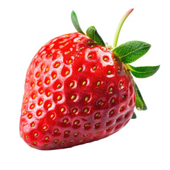 Close-up of a single, fresh strawberry (14)