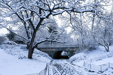 Winter view of Central Park, New York covered in snow during early morning