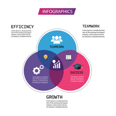 The Formula for Success: Teamwork, Efficiency & Growth Infographic