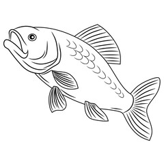 Black and white line drawing of a tench fish. Perfect for coloring pages, educational content, or aquatic-themed line art designs.