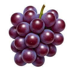 Fototapeta premium Purple grapes cluster with fresh fruit for healthy eating nutrition