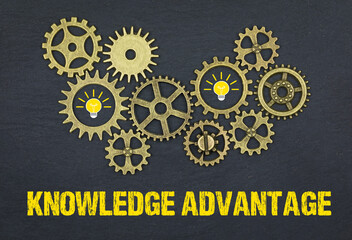 Knowledge advantage	
