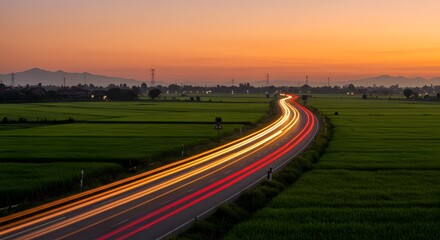Serpentine Light Trails Weaving Through Lush Rice Fields at Sunset.