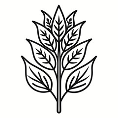  woad line art  vector illustration isolated  on-white-background