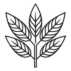  woad line art  vector illustration on-white-background