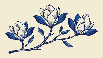Vector art of three blue and white magnolia blossoms on a branch