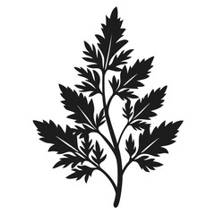  wormwood silhouette on white-background