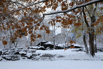 Scenic view of snow covered landscape of Central Park, New York in winter morning