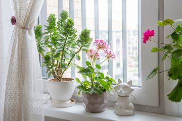 Houseplants on a bright windowsill with curtains and decorative figurine